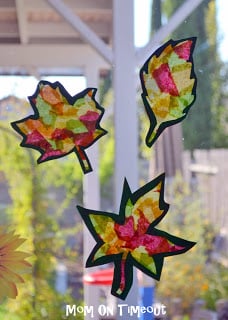 Pressed Flowers and Leaves - Craft Ideas for Kids - 5 Minutes for Mom