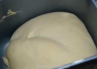 Featured image of post Oster Bread Maker Pizza Dough Recipe Homemade pizza is delicious and has been a staple in our home since we got our first bread maker over twenty years ago