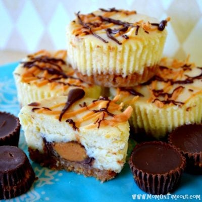 Reeses-Peanut-Butter-Cup-Mini-Cheesecakes-Recipe