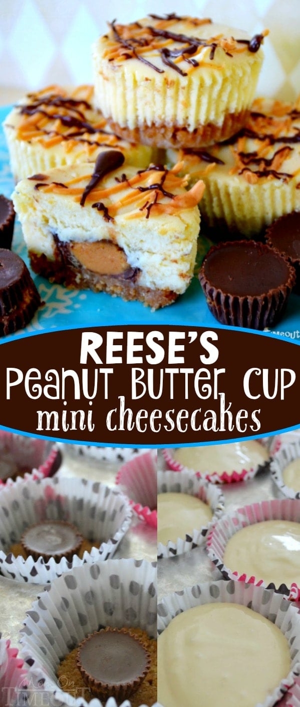 Reese's Peanut Butter Cup Mini Cheesecakes are sure to be a new favorite! Reese's Peanut Butter Cups are enveloped in a rich, luscious mini cheesecake and drizzled with chocolate and peanut butter. An amazing recipe and one of the most frequently requested in our home. Perfect for potlucks, picnics, and parties! Easy and delicious! // Mom On Timeout #Reeses #cheesecake #peanutbutter #dessert #peanutbuttercups #peanutbuttercup #sweets #mini #recipe #recipes #easy