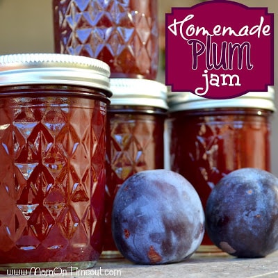 Homemade Plum Jam | MomOnTimeout.com SO much better than store bought jam!