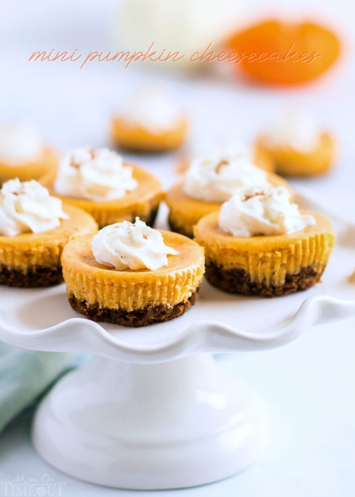 mini pumpkin cheesecake on white cake stand with title