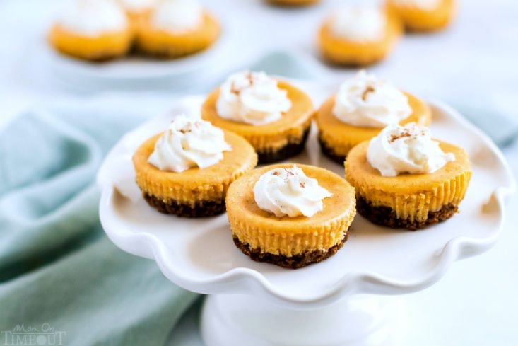 pumpkin cheesecake with gingersnap crust on cake stand