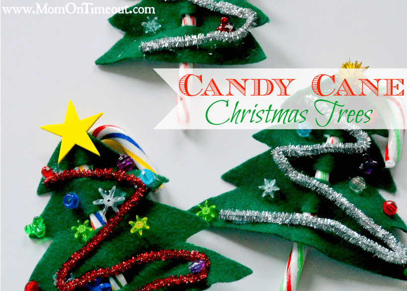 Trees  Candy Cane Christmas Company