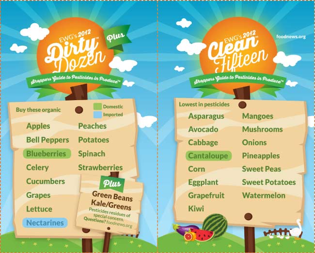 2012-guide-download