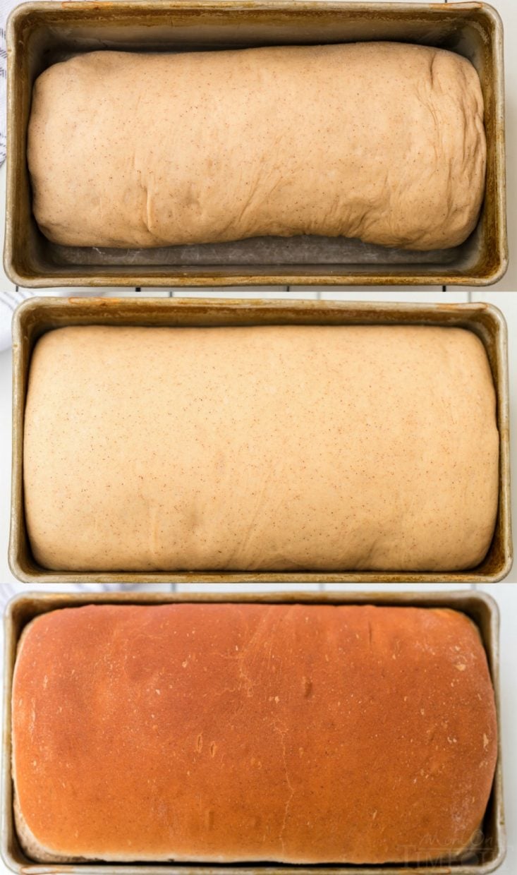 cinnamon bread collage with bread raising and baked in pan