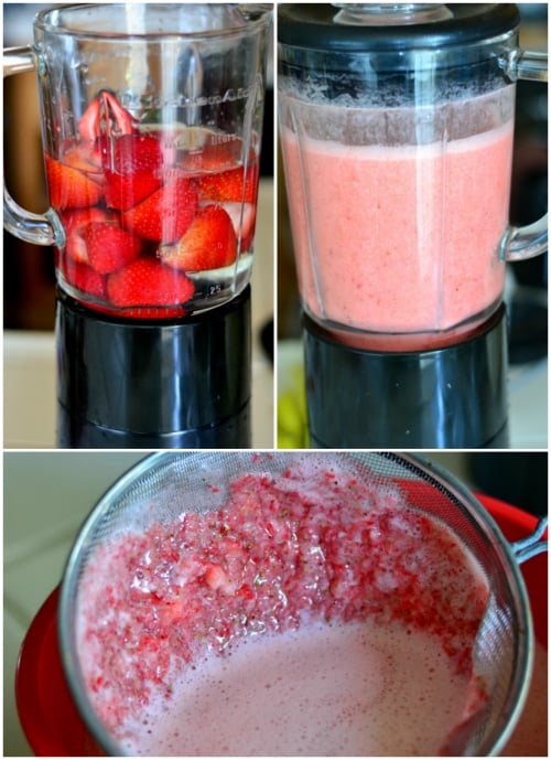 agua-fresca-strawberry-blender