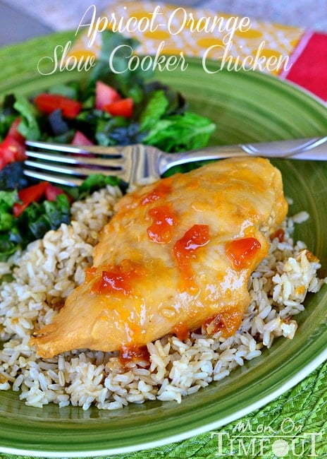 apricot-orange-slow-cooker-chicken-recipe