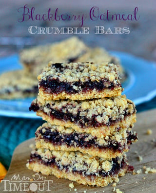 blackberry-oatmeal-crumble-bars-recipe-easy-sidebar