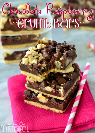 dark-chocolate-raspberry-crumb-bar-recipe