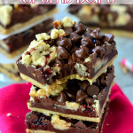 dark-chocolate-raspberry-crumb-bars