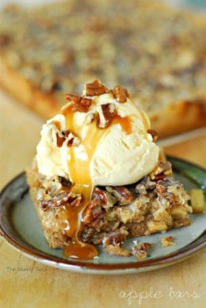 60+ Amazing Apple Recipes! - Mom On Timeout