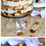 turtle-cheesecake-trifle-collage