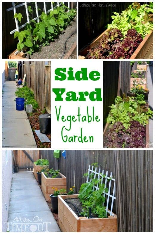 Side Yard Vegetable Garden and DIY Planter Boxes at MomOnTimeout.com #ad