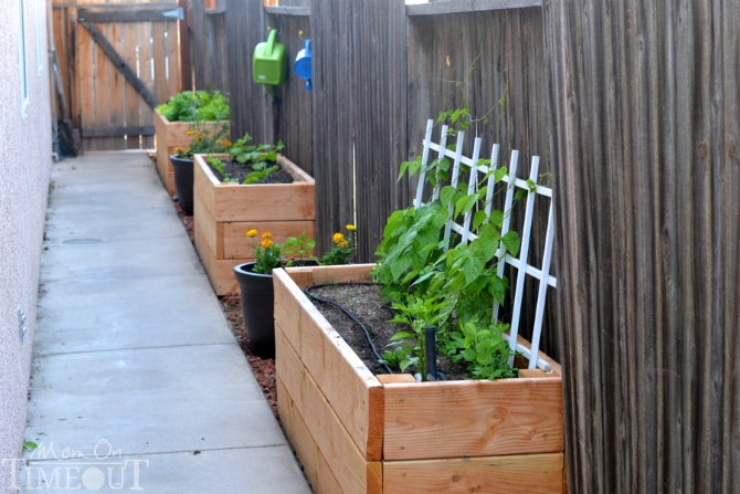 Side Yard Vegetable Garden and DIY Planter Boxes at MomOnTimeout.com #ad