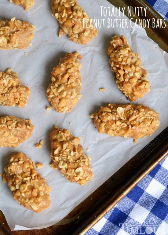 No-Bake, Easy, 4 Ingredient Totally Nutty Peanut Butter Candy Bars | MomOnTimeout.com