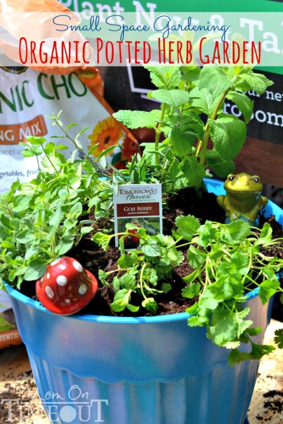 Small Space Gardening: Organic Potted Herb Garden | MomOnTimeout.com