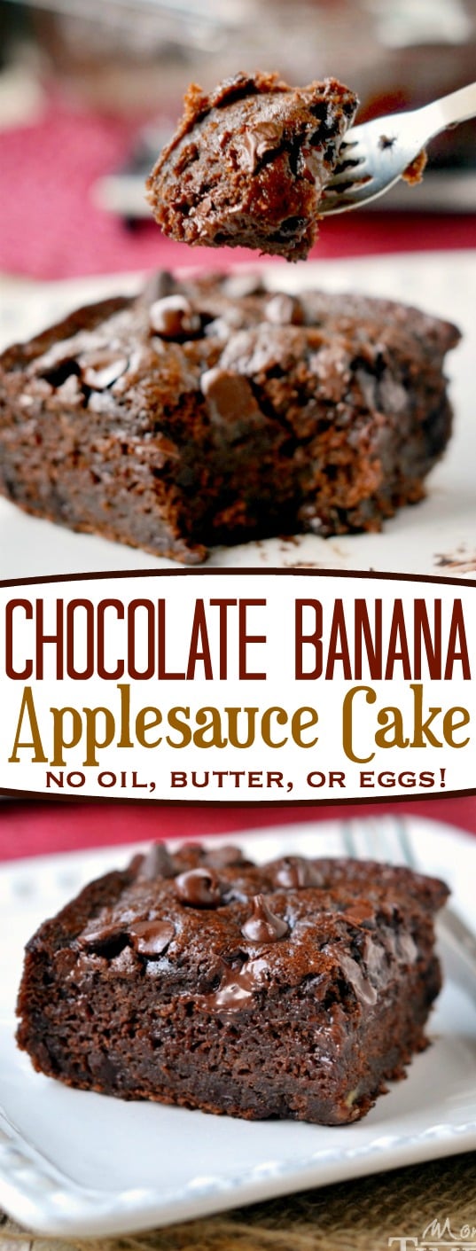 This one-bowl Chocolate Banana Applesauce Cake is made without oil, eggs, or butter and is perfect for snacking! Beautifully moist and perfectly decadent, you won't even miss the frosting! // Mom On Timeout