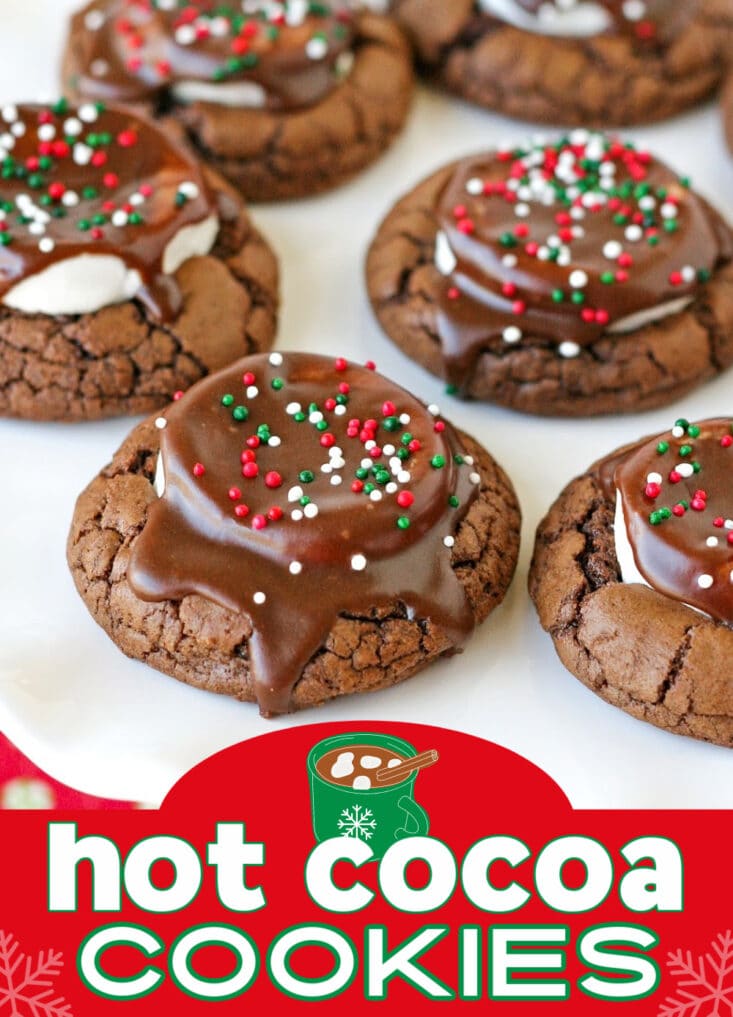 hot cocoa cookies on white plate with christmas sprinkles on top and title overlay at bottom 