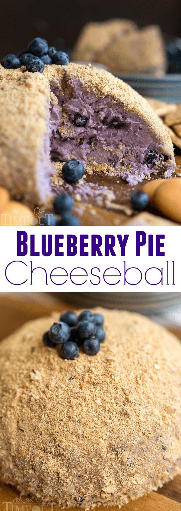 This Blueberry Pie Cheese Ball tastes just like a blueberry cheesecake and is the perfect appetizer or dessert for your next get together! Easy and delicious! | MomOnTimeout.com