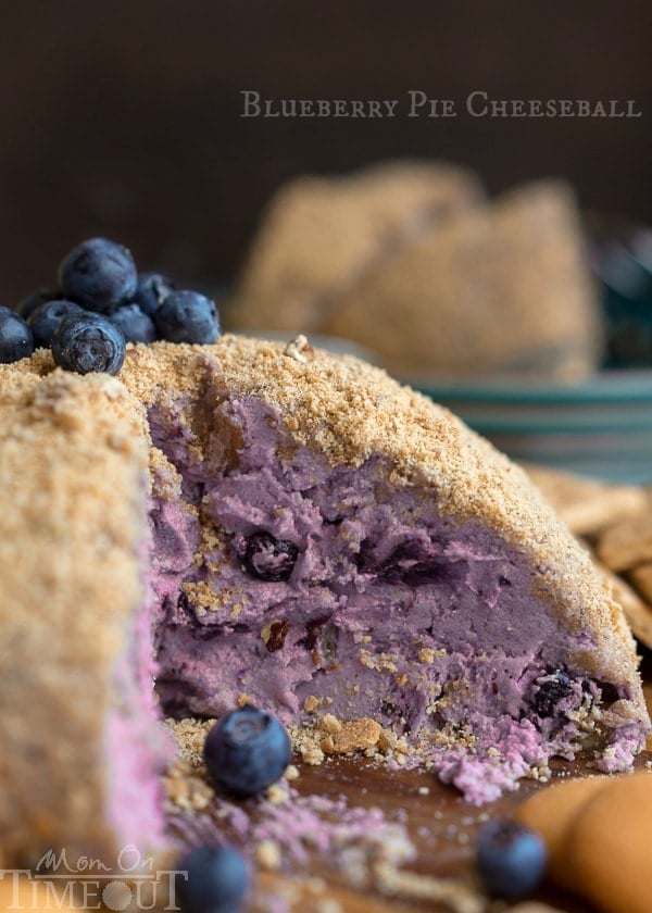 This Blueberry Pie Cheese Ball tastes just like a blueberry cheesecake and is the perfect appetizer or dessert for your next get together! Easy and delicious! | MomOnTimeout.com