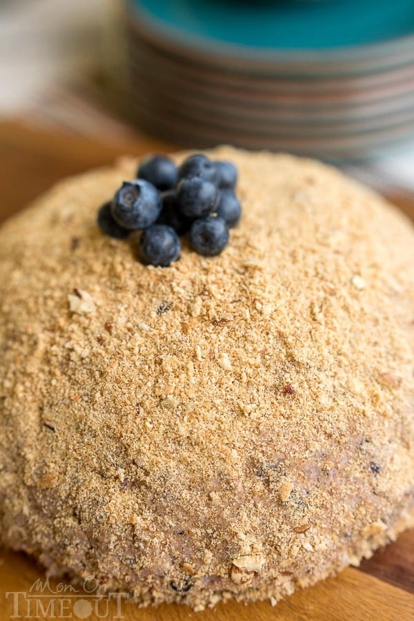 This Blueberry Pie Cheese Ball tastes just like a blueberry cheesecake and is the perfect appetizer or dessert for your next get together! Easy and delicious! | MomOnTimeout.com