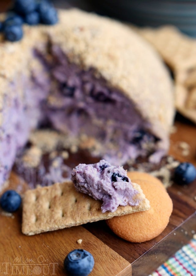 This Blueberry Pie Cheese Ball tastes just like a blueberry cheesecake and is the perfect appetizer or dessert for your next get together! Easy and delicious! | MomOnTimeout.com