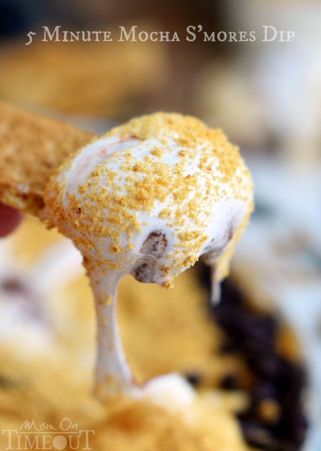 Make this 5 Minute Mocha S'mores Dip and satisfy everyone's deepest s'mores cravings all year long! This easy recipe makes a decadent dessert or amazing appetizer perfect for a crowd!| MomOnTimeout.com | #IDelightIn10 #ad