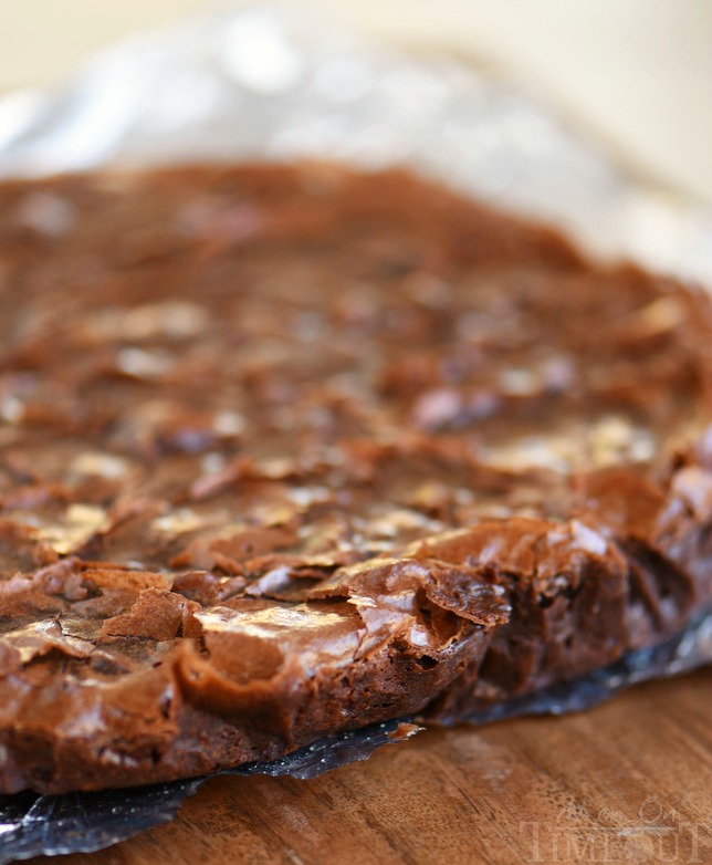 Once you make these Slow Cooker Peanut Butter Brownies - you'll never make brownies in the oven again! Seriously, the best brownies EVER and the recipe is SO easy!