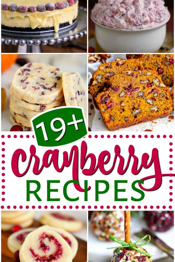 cranberry-recipes