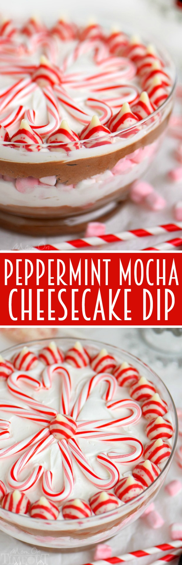 This easy Layered Peppermint Mocha Cheesecake Dip will be the STAR of all your holiday parties! With it's fun, colorful layers, and 5 minute prep time, everyone wins! Works beautifully as a holiday appetizer or dessert!