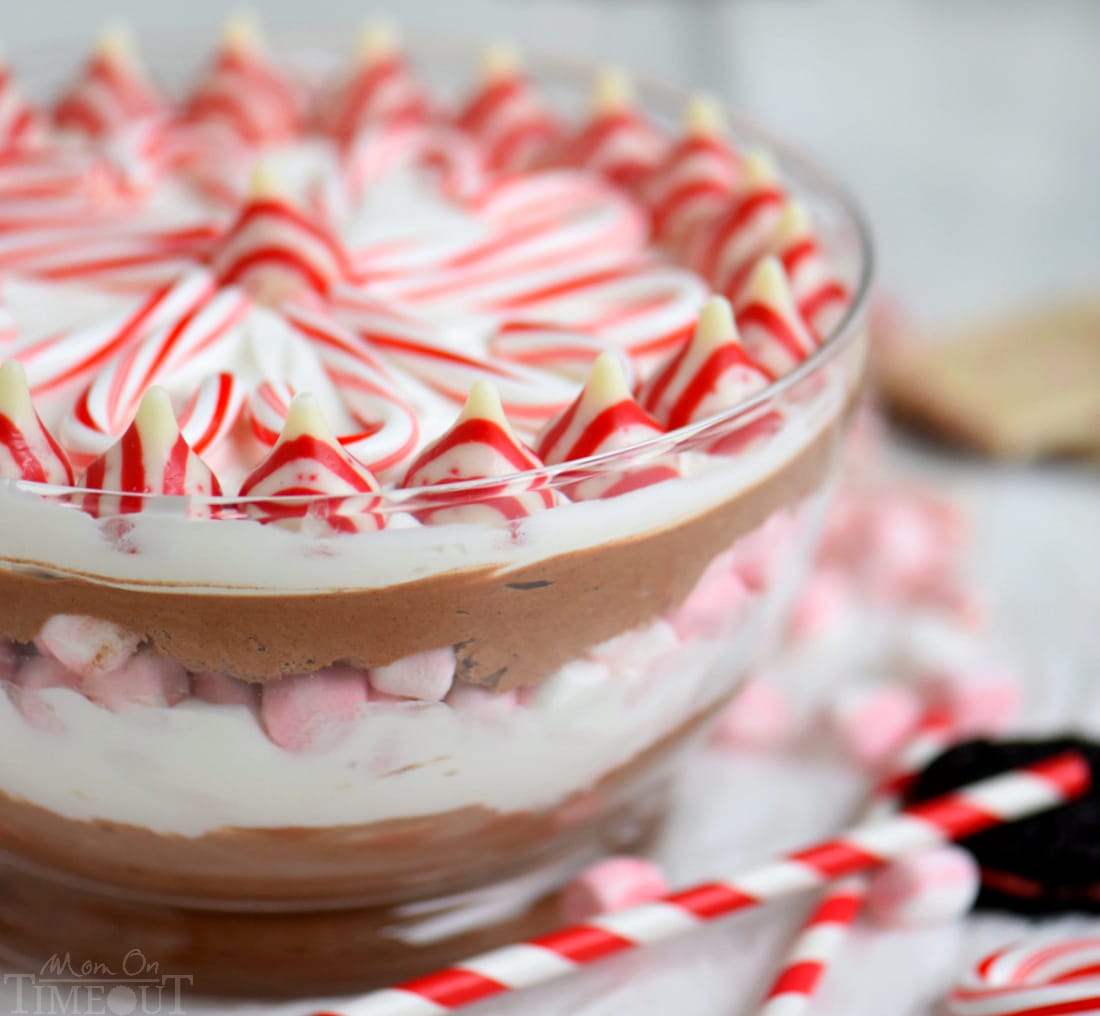 This easy Layered Peppermint Mocha Cheesecake Dip will be the STAR of all your holiday parties! With it's fun, colorful layers, and 5 minute prep time, everyone wins!