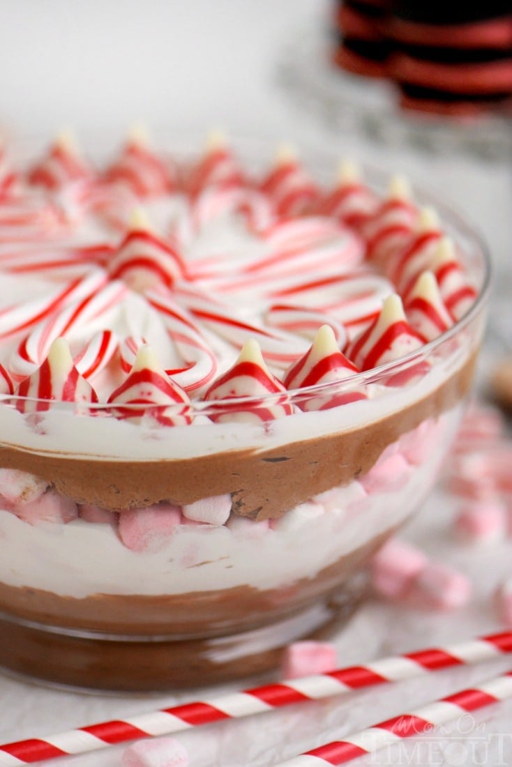 This easy Layered Peppermint Mocha Cheesecake Dip will be the STAR of all your holiday parties! With it's fun, colorful layers, and 5 minute prep time, everyone wins!