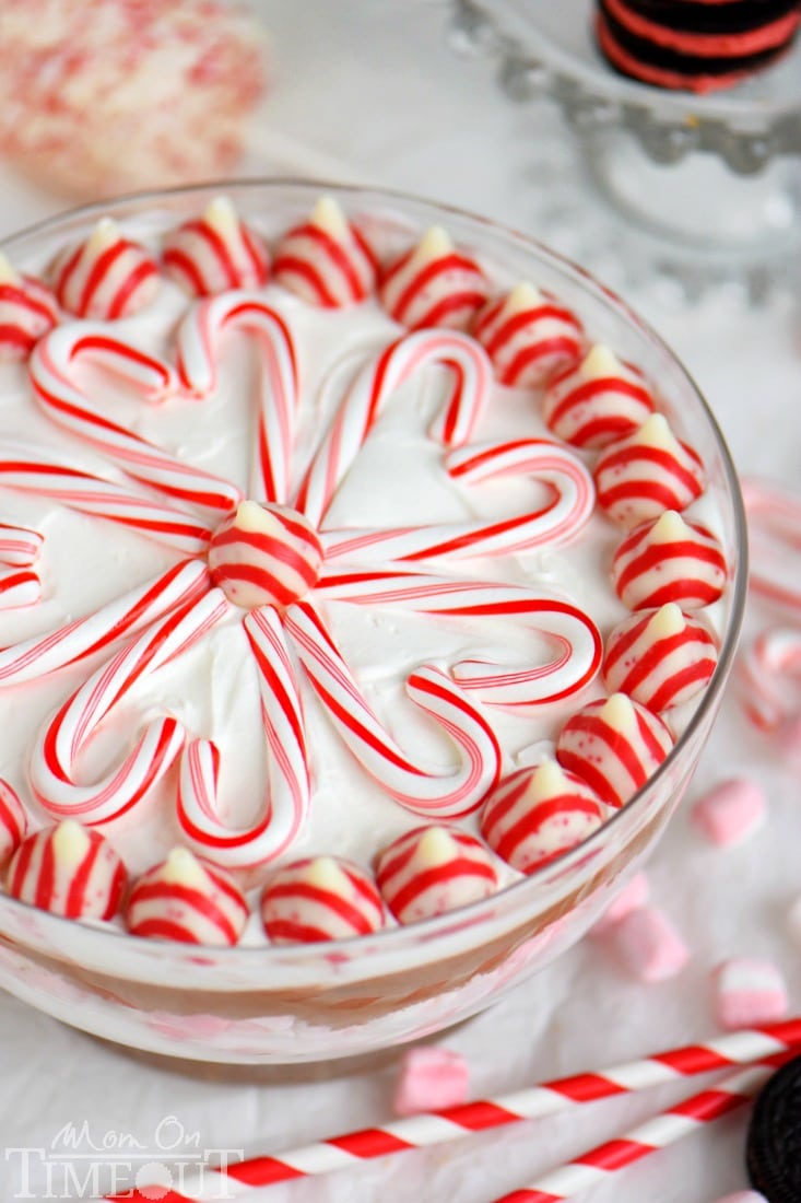 This easy Layered Peppermint Mocha Cheesecake Dip will be the STAR of all your holiday parties! With it's fun, colorful layers, and 5 minute prep time, everyone wins!