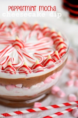 peppermint-mocha-cheesecake-dip-text-hi-res-1