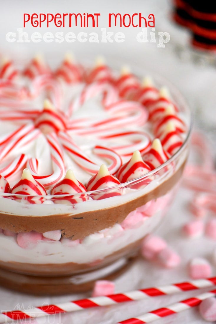 This easy Layered Peppermint Mocha Cheesecake Dip will be the STAR of all your holiday parties! With it's fun, colorful layers, and 5 minute prep time, everyone wins! Works beautifully as a holiday appetizer or dessert!