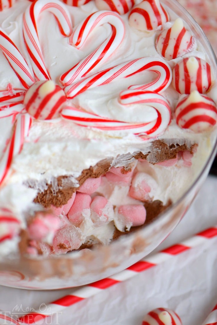 This easy Layered Peppermint Mocha Cheesecake Dip will be the STAR of all your holiday parties! With it's fun, colorful layers, and 5 minute prep time, everyone wins!