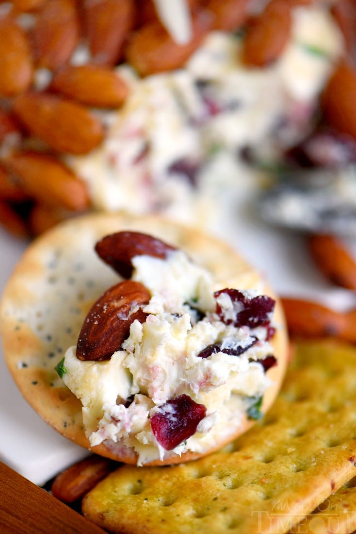 Get ready to impress with this unbelievably delicious Cranberry Almond Cheese Ball - made with just FIVE ingredients! This easy recipe is great for entertaining and parties!