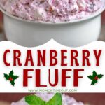 2 image collage with center color block and text overlay top image cranberry fluff in white bowl garnished with cranberries and mint and bottom image is a close up of the fluff