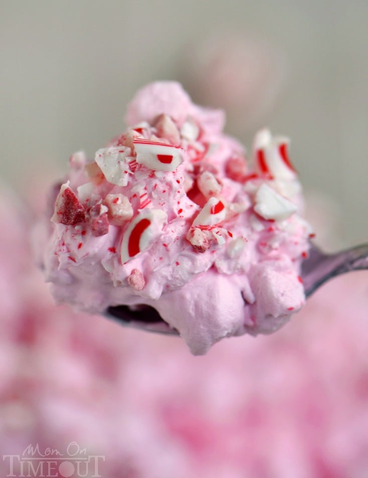 I've got the prettiest, two minute dessert you're going to make all holiday season long for you today! This Peppermint Fluff has just four ingredients and will disappear as quickly as you can make it. Double the recipe for a crowd!