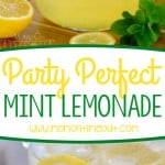 party-perfect-mint-lemonade-collage