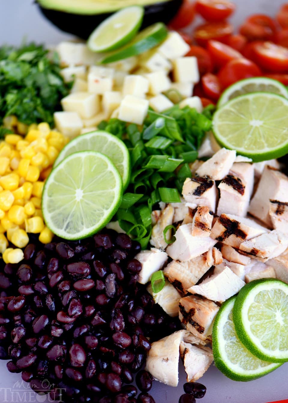 This Creamy Cilantro Lime Southwestern Pasta Salad recipe is satisfying enough for an easy dinner or a tasty addition to any party, bbq or get together! Grilled chicken, black beans, corn, tomatoes, and a creamy cilantro lime dressing make this pasta salad exceptionally delicious!