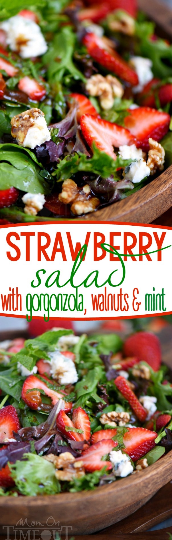 Feast your eyes on this stunning Strawberry Salad with Gorgonzola, Walnuts and Mint! It's a party in your mouth! The perfect summer salad that will keep you coming back again and again.