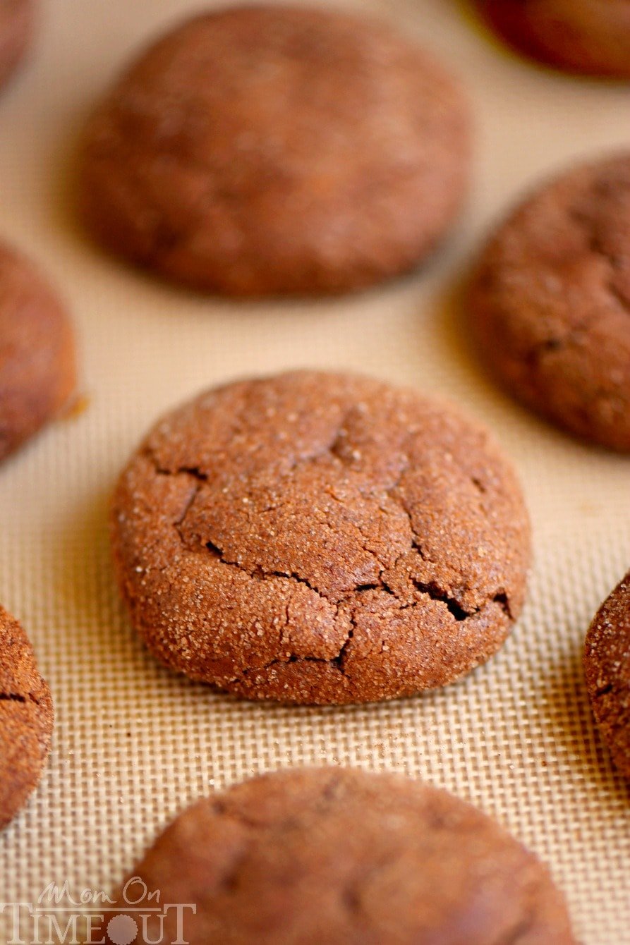 These Mexican Chocolate Snickerdoodles pack a powerful flavor punch that keeps you wanting more! Cinnamon and cayenne combine for an explosion of flavor that's hard to resist. This easy cookie recipe is the perfect dessert for your chocolate loving friends! 