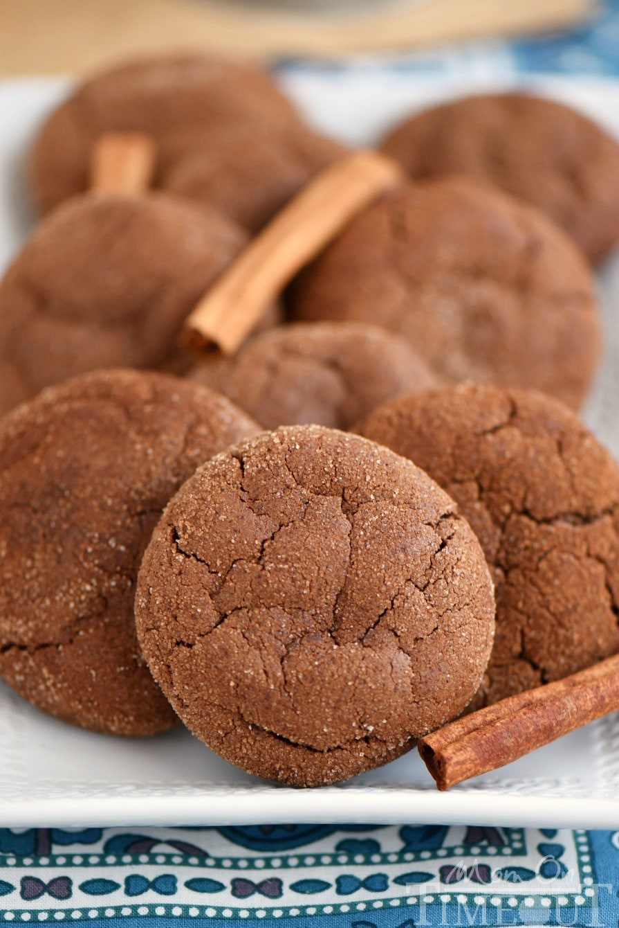 These Mexican Chocolate Snickerdoodles pack a powerful flavor punch that keeps you wanting more! Cinnamon and cayenne combine for an explosion of flavor that's hard to resist. This easy cookie recipe is the perfect dessert for your chocolate loving friends! 