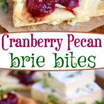 cranberry-pecan-brie-bites-collage