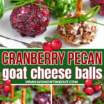 three image collage of cranberry pecan goat cheese balls. the balls have been coated in cried cranberries, chives and chopped pecans. center color block with text overlay.