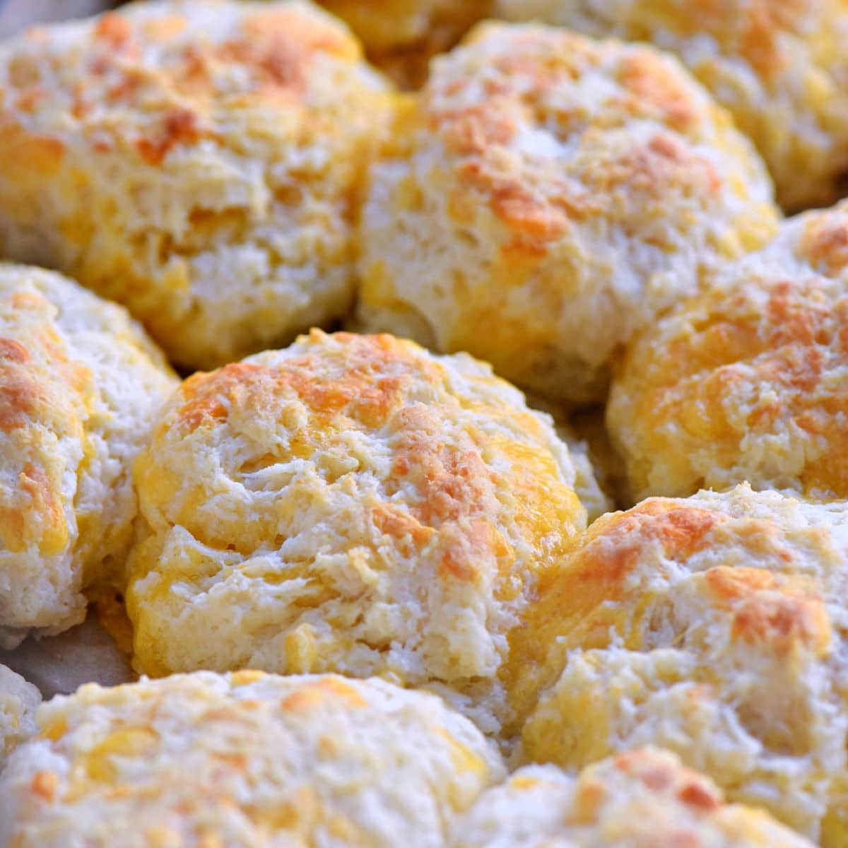 baked cheddar bay biscuits ready for butter topping to be brushed on.