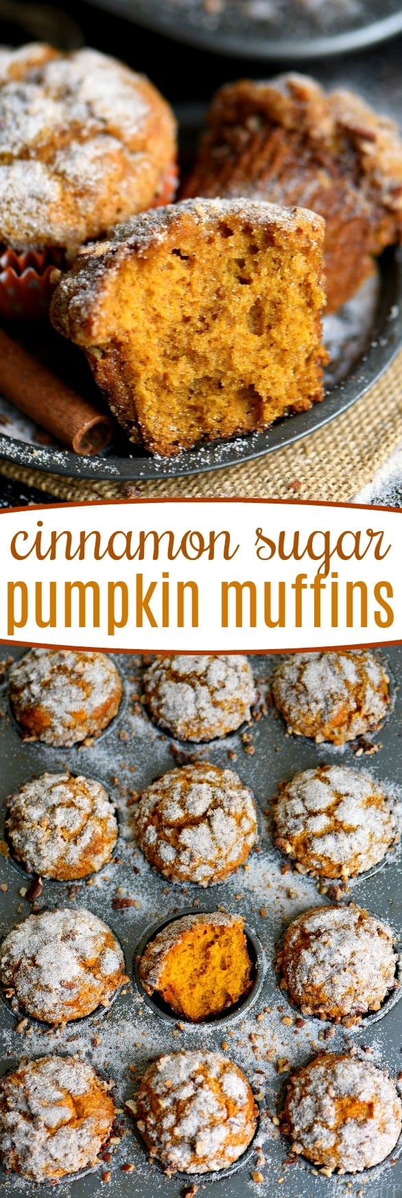Say hello to fall with these delicious Cinnamon Sugar Pumpkin Muffins! Exceptionally moist, surprisingly light, and entirely irresistible! // Mom On Timeout