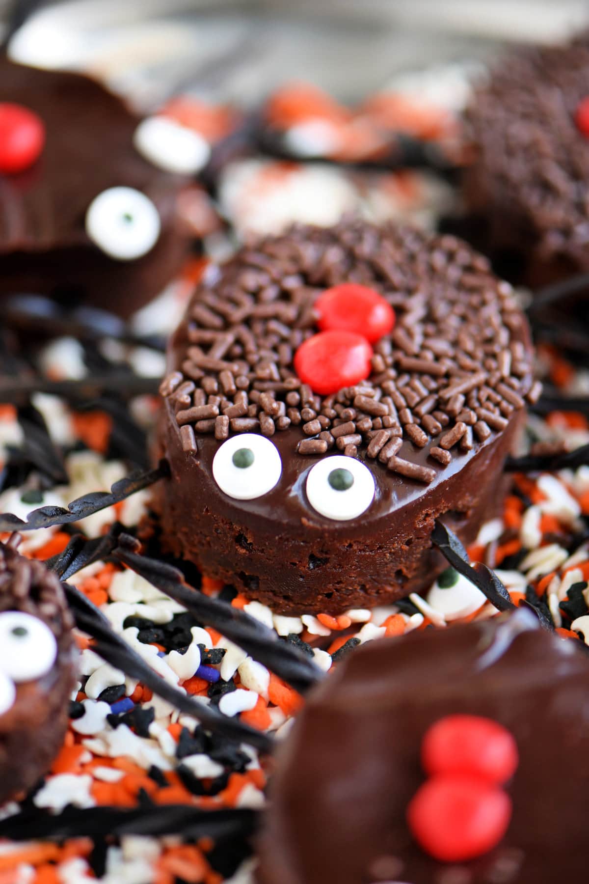 black widow brownie topped with chocolate ganache, candy eyes and licorice legs sitting on a bed of halloween sprinkles.